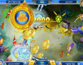 196体育经典版2024最新版